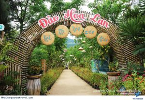 Đảo Hoa Lan Nha Trang – hòn đảo thơ mộng, hòa mình với biển và núi rừng