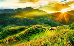 Mù Cang Chải - Vùng đất của cánh đồng bậc thang